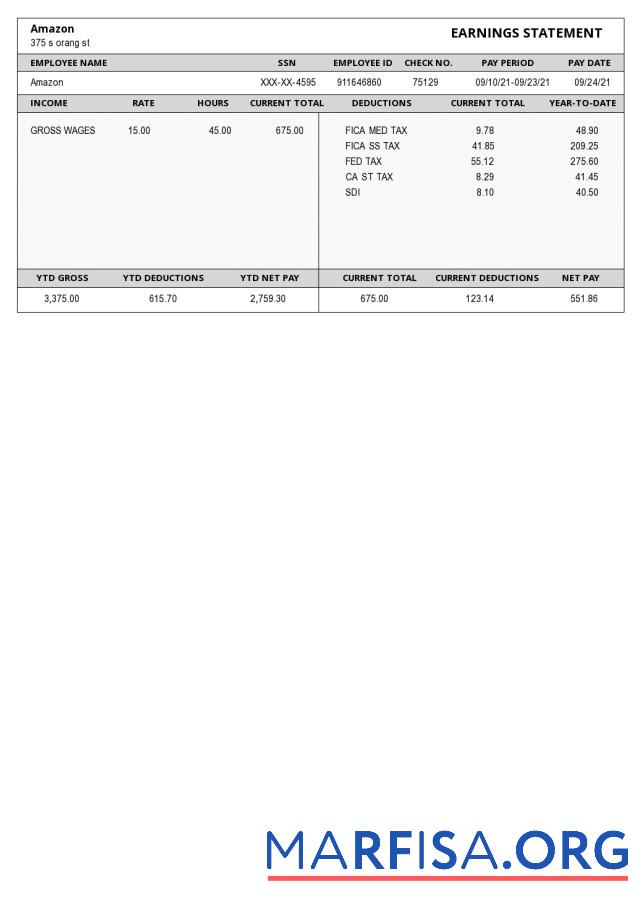 Realistic Amazon earnings statement example